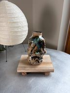 Warped Vase — Multi Splash #1