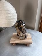 Warped Vase — Multi Splash #3